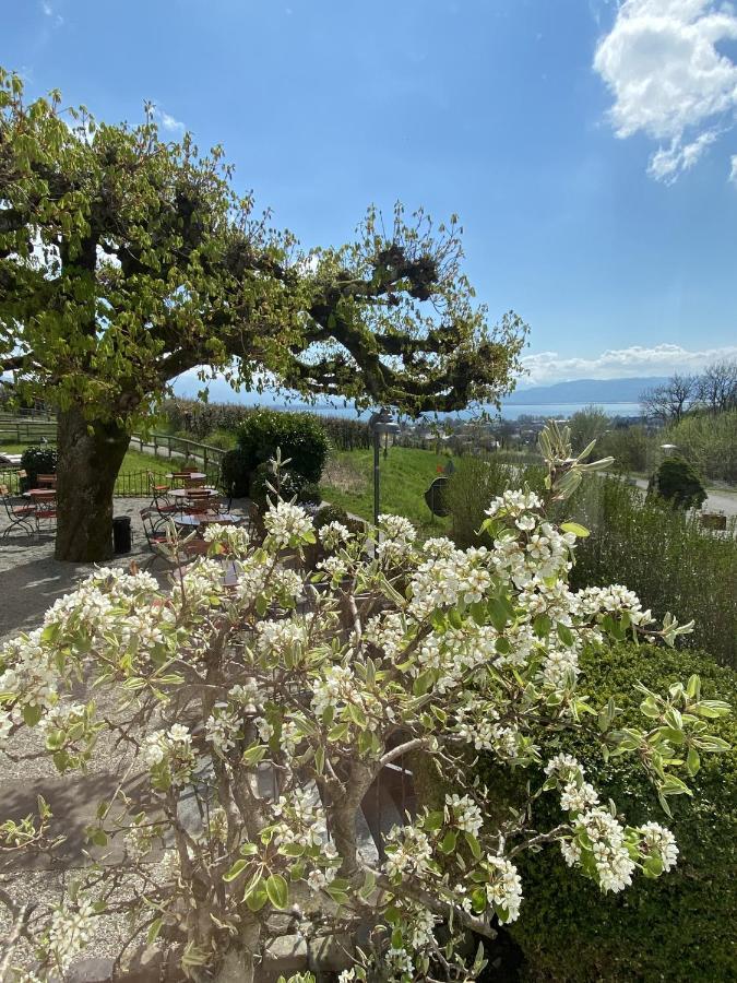 Hotel Montfort-Schloessle Lindau  Zewnętrze zdjęcie