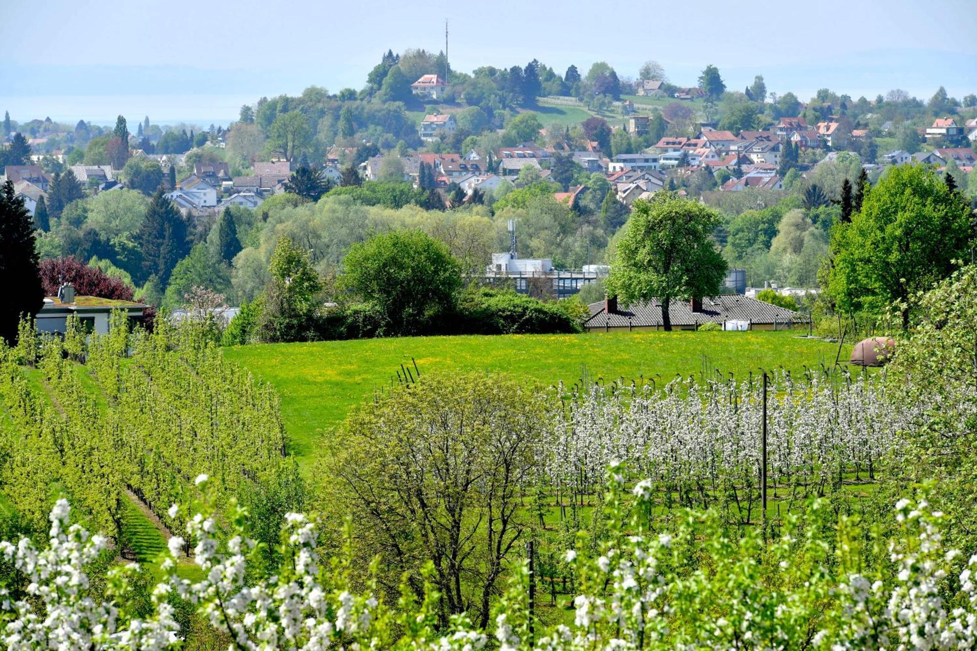 Hotel Montfort-Schloessle Lindau  Pokój zdjęcie