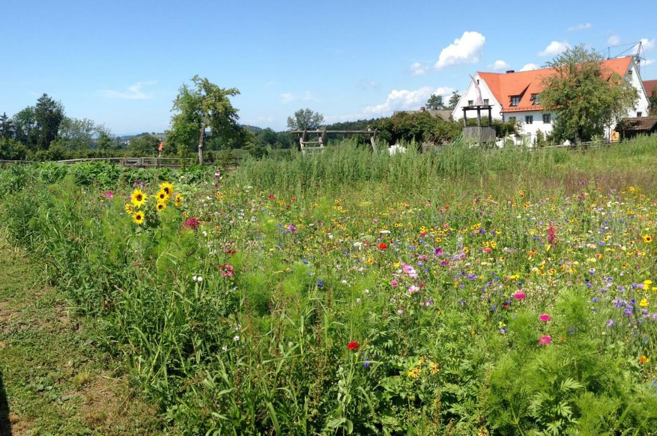 Hotel Montfort-Schloessle Lindau  Zewnętrze zdjęcie
